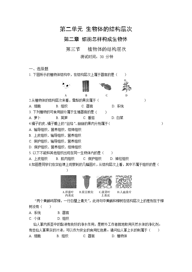 人教版生物七年级上册 第2单元 2.3 植物体的结构层次 同步练习题（解析版）01