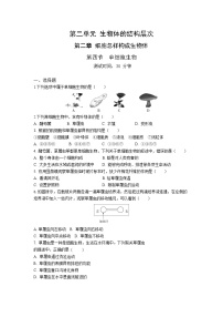 2020-2021学年第二单元 生物体的结构层次第二章 细胞怎样构成生物体第四节 单细胞生物练习题