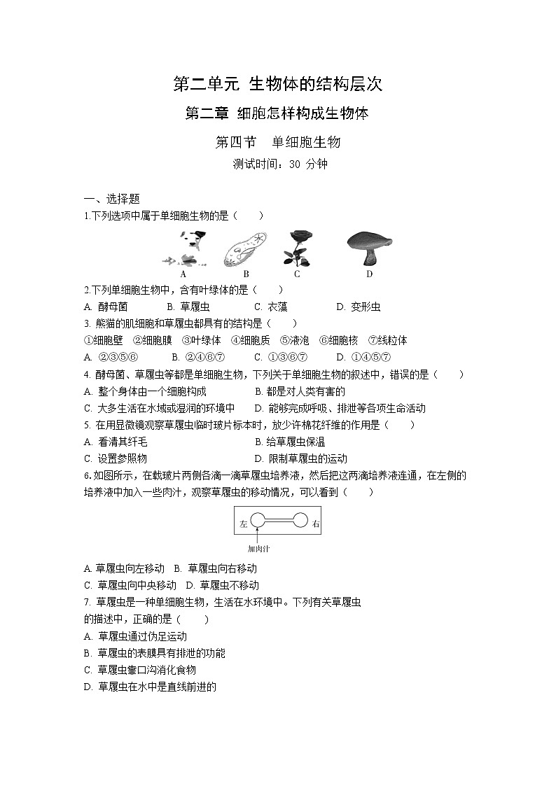 人教版生物七年级上册 第2单元 2.4 单细胞生物 同步练习题（解析版）第1页