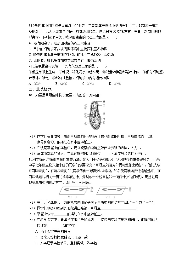 人教版生物七年级上册 第2单元 2.4 单细胞生物 同步练习题（解析版）02