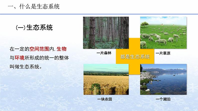 1.2.2 生物与环境组成生态系统 课件 人教版七年级上册生物03