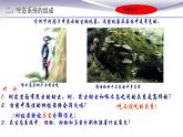 1.2.2 生物与环境组成生态系统 课件 人教版七年级上册生物