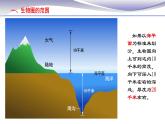 1.2.3 生物圈是最大的生态系统 课件 人教版七年级上册生物