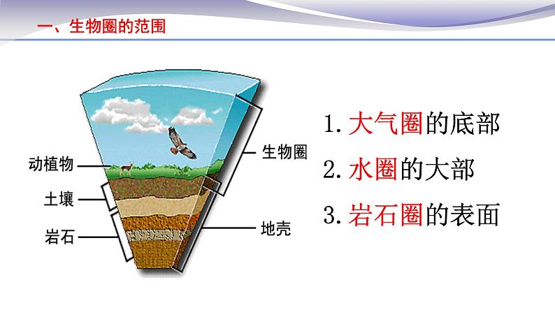 1.2.3 生物圈是最大的生态系统 课件 人教版七年级上册生物05