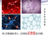 2.1.1 练习使用显微镜 课件 人教版七年级上册生物