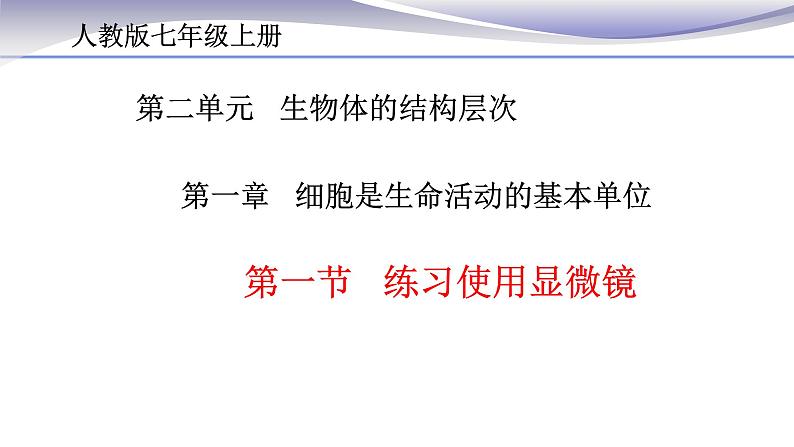 2.1.1 练习使用显微镜 课件 人教版七年级上册生物02