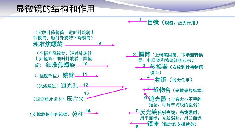 2.1.1 练习使用显微镜 课件 人教版七年级上册生物05