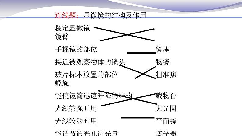 2.1.1 练习使用显微镜 课件 人教版七年级上册生物06