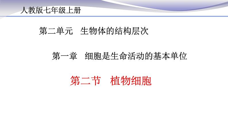 2.1.2 植物细胞 课件 人教版七年级上册生物第1页