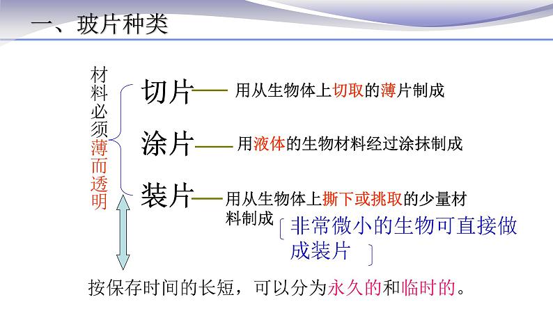 2.1.2 植物细胞 课件 人教版七年级上册生物第3页