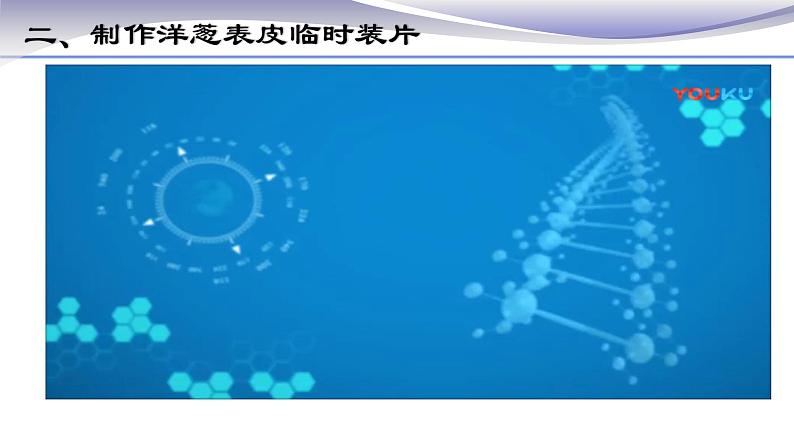 2.1.2 植物细胞 课件 人教版七年级上册生物第4页