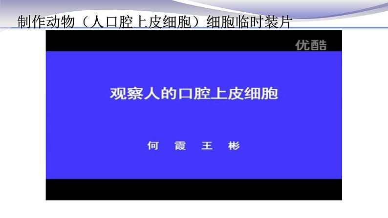 2.1.3 动物细胞 课件 人教版七年级上册生物03