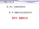 2.1.4 细胞的生活 课件 人教版七年级上册生物