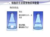 2.1.4 细胞的生活 课件 人教版七年级上册生物