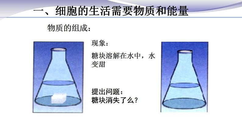 2.1.4 细胞的生活 课件 人教版七年级上册生物第3页