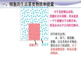 2.1.4 细胞的生活 课件 人教版七年级上册生物