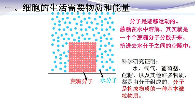 2.1.4 细胞的生活 课件 人教版七年级上册生物第4页