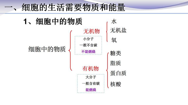 2.1.4 细胞的生活 课件 人教版七年级上册生物第6页