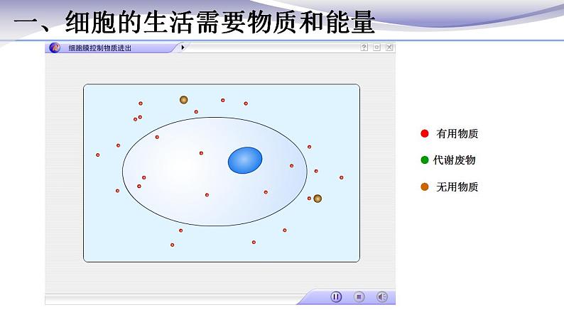 2.1.4 细胞的生活 课件 人教版七年级上册生物第8页