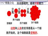 2.2.2 动物体的结构层次-课件-人教版七年级上册生物