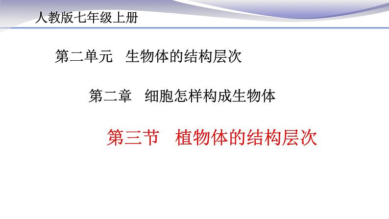 2.2.3 植物体的结构层次 课件 人教版七年级上册生物第3页