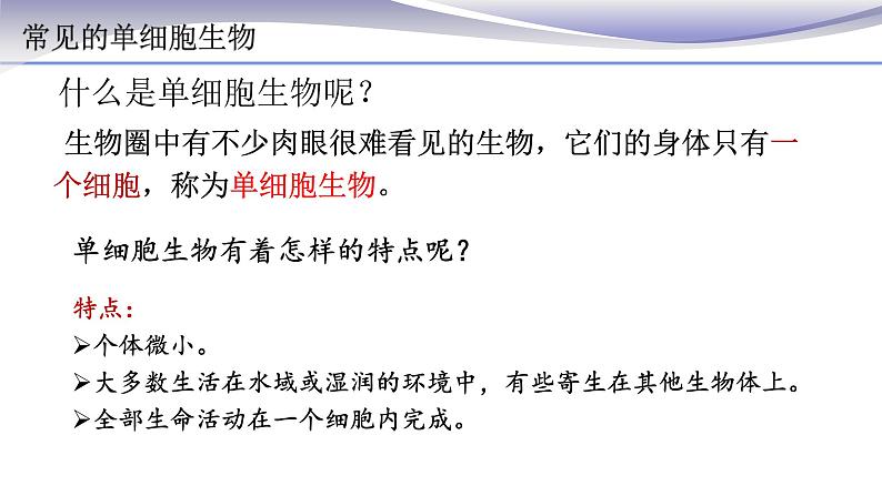 2.2.4 单细胞生物 课件 人教版七年级上册生物04