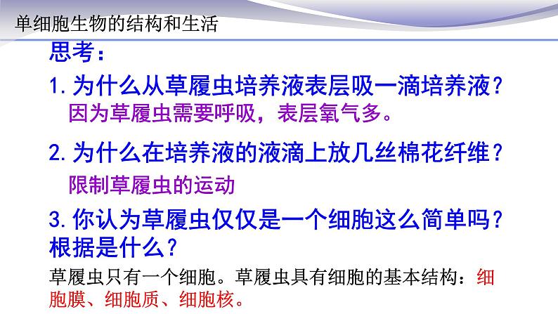 2.2.4 单细胞生物 课件 人教版七年级上册生物07