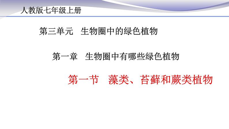 3.1.1 藻类、苔藓和蕨类植物-课件-人教版七年级上册生物07