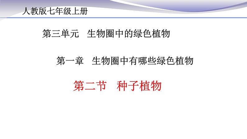 3.1.2 种子植物-课件-人教版七年级上册生物02