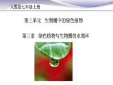 3.3 绿色植物与生物圈的水循环 课件 人教版七年级上册生物