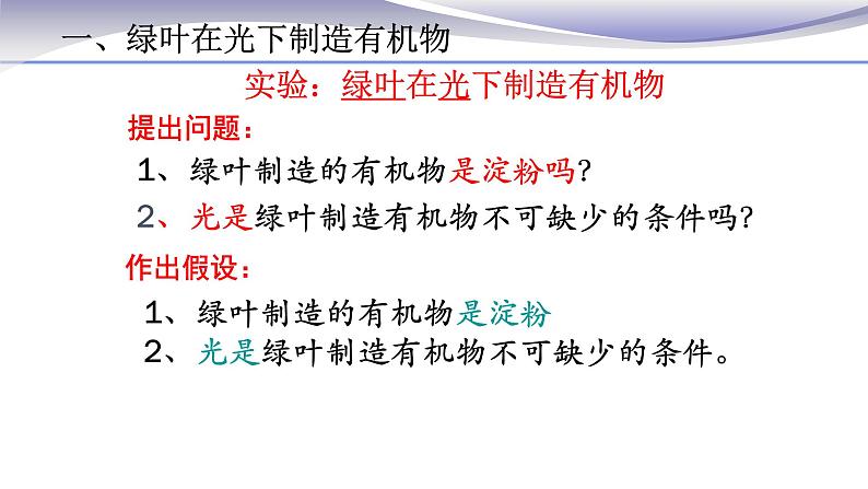 3.4 绿色植物是生物圈中有机物的制造者 课件 人教版七年级上册生物03