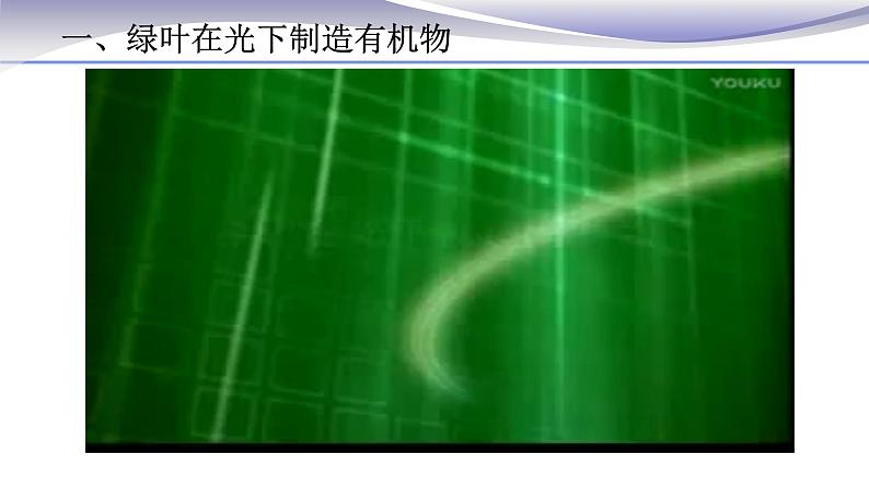 3.4 绿色植物是生物圈中有机物的制造者 课件 人教版七年级上册生物05