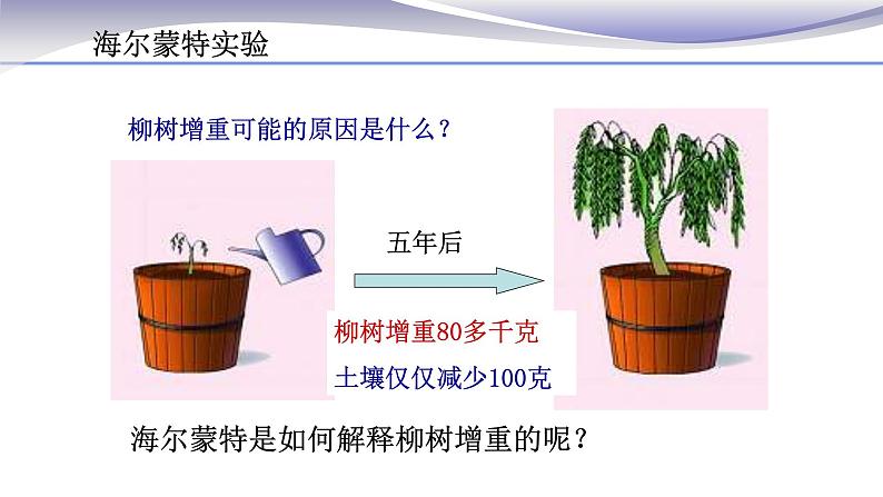 3.5.1 光合作用吸收二氧化碳释放氧气 课件 人教版七年级上册生物03