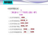 3.5.2 绿色植物的呼吸作用 课件 人教版七年级上册生物