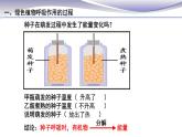 3.5.2 绿色植物的呼吸作用 课件 人教版七年级上册生物