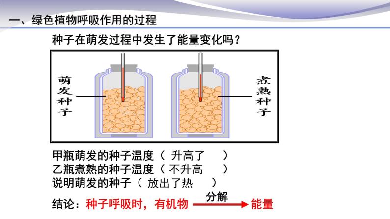 3.5.2 绿色植物的呼吸作用 课件 人教版七年级上册生物05