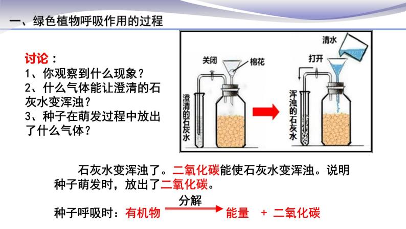 3.5.2 绿色植物的呼吸作用 课件 人教版七年级上册生物07