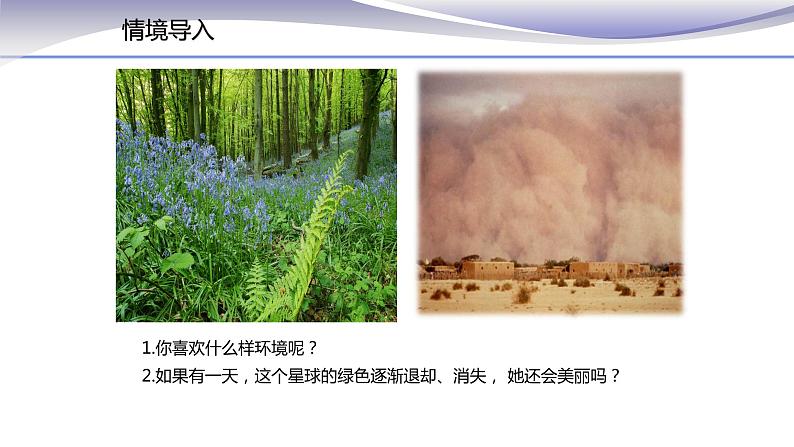 3.6 爱护植被，绿化祖国 课件 人教版七年级上册生物第1页