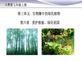 3.6 爱护植被，绿化祖国 课件 人教版七年级上册生物