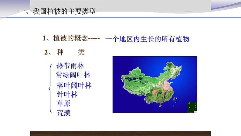 3.6 爱护植被，绿化祖国 课件 人教版七年级上册生物第4页