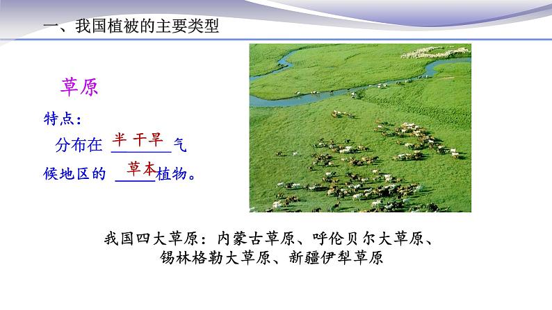 3.6 爱护植被，绿化祖国 课件 人教版七年级上册生物第5页