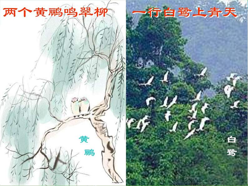 北师版 八年级生物上册 第五单元 第17章 第1节 动物在生物圈中作用 教学课件02