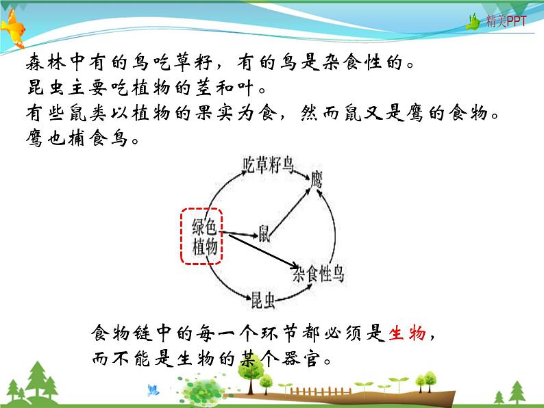 北师版 八年级生物上册 第五单元 第17章 第2节 我国的动物资源及保护 教学课件01