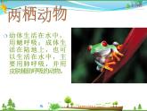 北师版 八年级生物上册 第六单元第19章 第2节 动物的生殖和发育 教学课件
