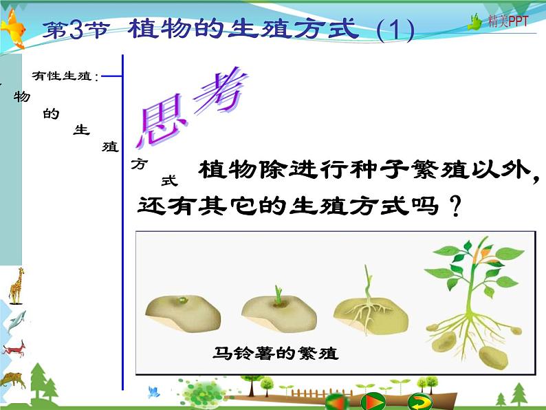 北师版 八年级生物上册 第六单元第19章 第3节 植物的生殖方式  教学课件06