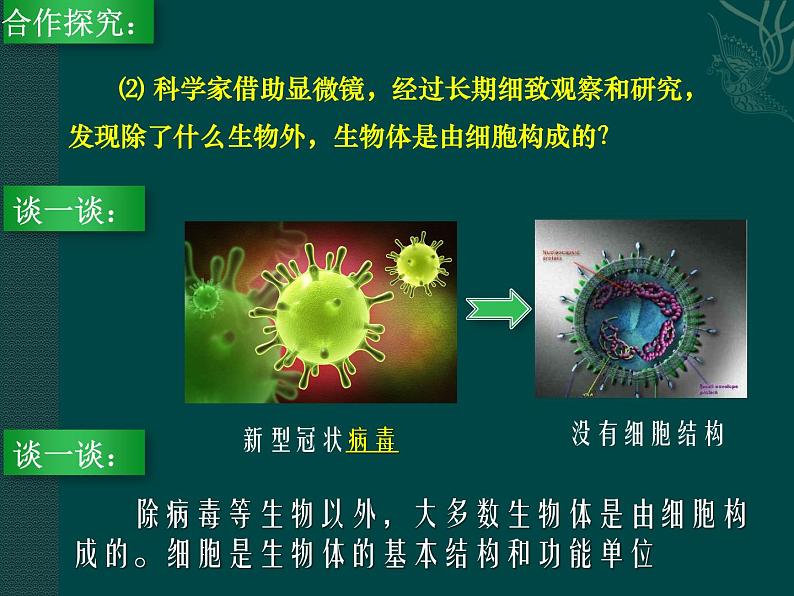 苏科版生物七年级下册课件：第8章 生物体有相同的基本结构  第1节  生物体的基本结构（课时1）(共24张PPT)第6页