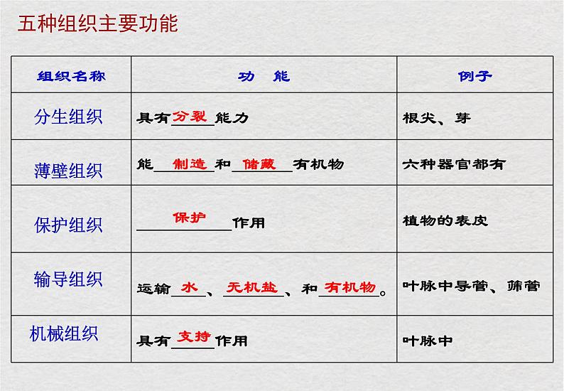 苏科版生物七年级下册课件：第9章 生物体有相似的结构层次 复习(共23张PPT)05