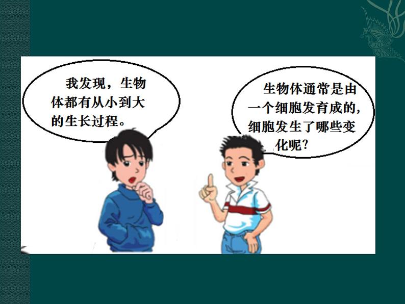 第8章 生物体有相似的结构层次  第2节 细胞的分裂和分化 课件第2页