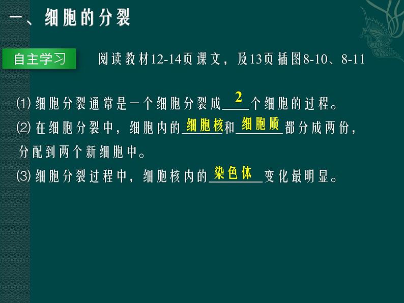 第8章 生物体有相似的结构层次  第2节 细胞的分裂和分化 课件第4页