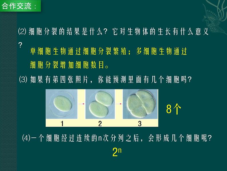 第8章 生物体有相似的结构层次  第2节 细胞的分裂和分化 课件第6页